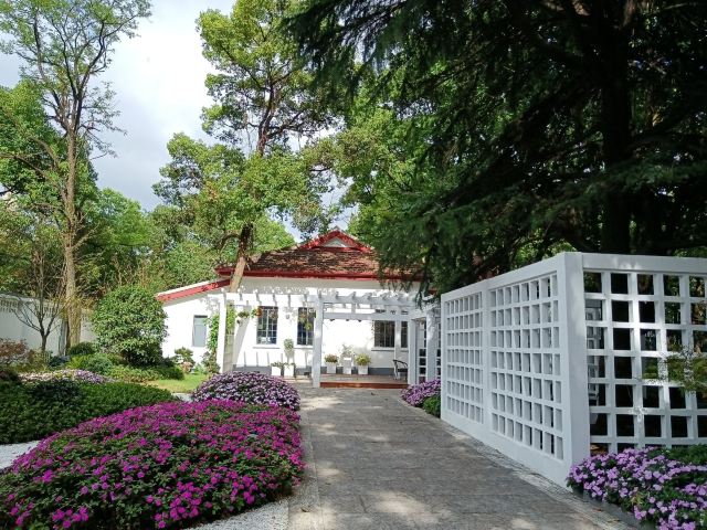 复兴岛公园旅行图片 4