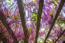 龙口南山旅游景区-龙口-C-IMAGE