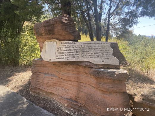 帽天山风景区-澄江动物化石群