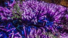 平潭-YoYo_7I9G4N1V