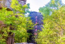 黑龙江伊春花岗岩石林国家地质公园景点图片