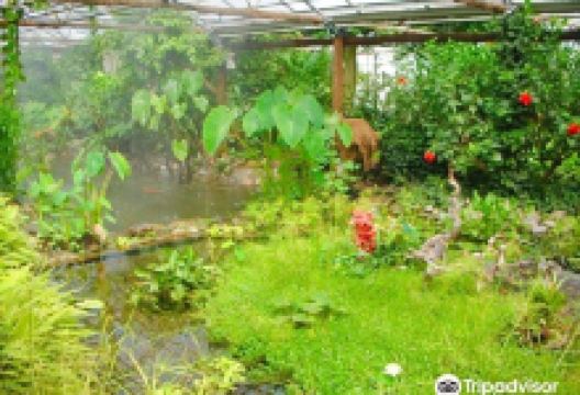 蝴蝶园景点图片