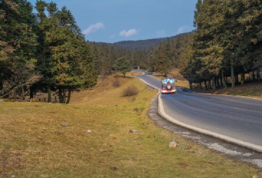 重庆天生三桥+仙女山森林公园一日游【经典大团 含午餐+导游】【[天生三桥]游览地质奇观“三硚夹两坑”，世界天生桥群和世界第二大天坑群相映生辉】