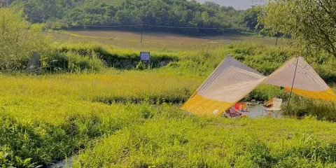 遼寧寨香生態農場-露營地