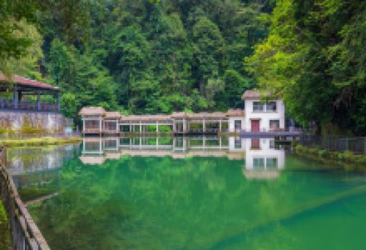 屏边大围山景点图片