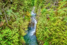 林恩峡谷公园-北温哥华