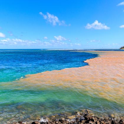 马达加斯加+留尼汪（法属）+毛里求斯+塞舌尔18日15晚跟团游