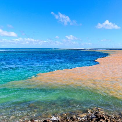 毛里求斯9日8晚拼小团