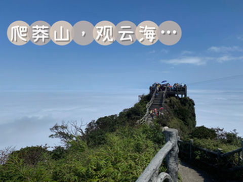 郴州莽山旅游攻略｜适合全家出行的登山之旅