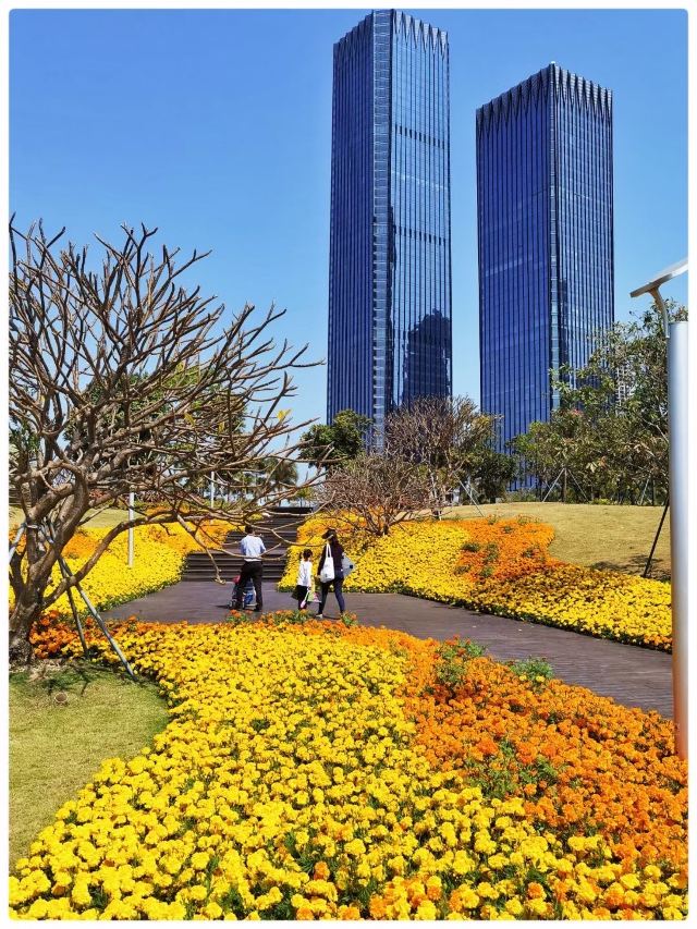 深圳前海石公园游玩攻略简介,深圳前海石公园门票/地址/图片/开放时间/照片/门票价格【携程攻略】