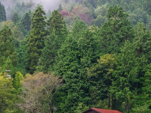 天竺山森林公园