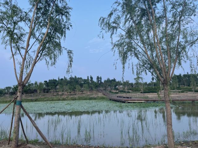 光年城中央公园旅行图片 4