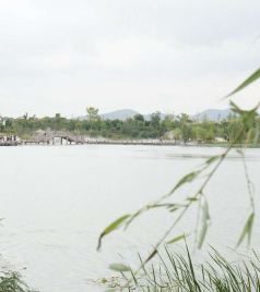 敬亭山景区及周边游记图文-安徽宣城、浙江湖州4日游