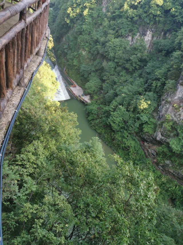洒金公园旅行图片 3