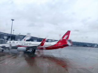 一次爸爸去哪儿的湛江之行