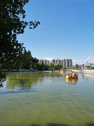 这个公园景色不得了