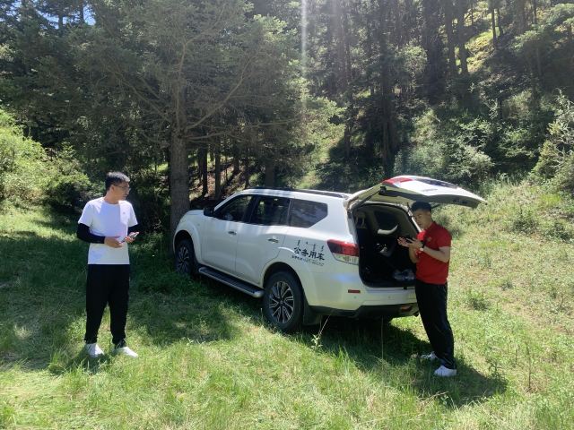 呼市回民区防风林公园旅行图片 3