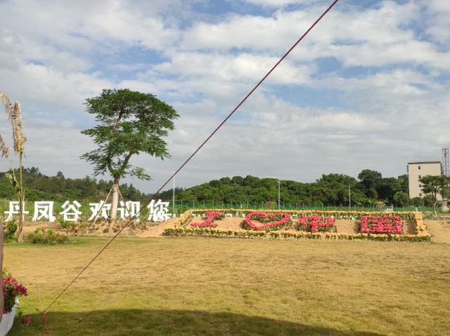 丹凤谷旅行图片 3