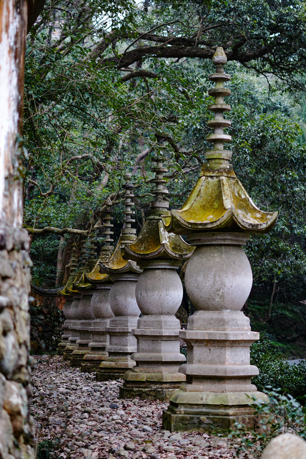台州| 天台山｜国清寺｜望，天台里-浙江天台山游记攻略【携程攻略】