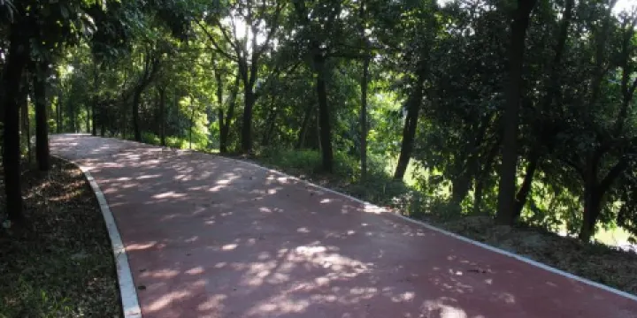 北坑景區-森林綠道