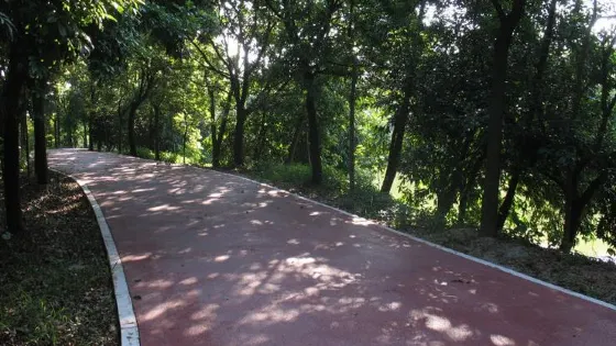 北坑景區-森林綠道