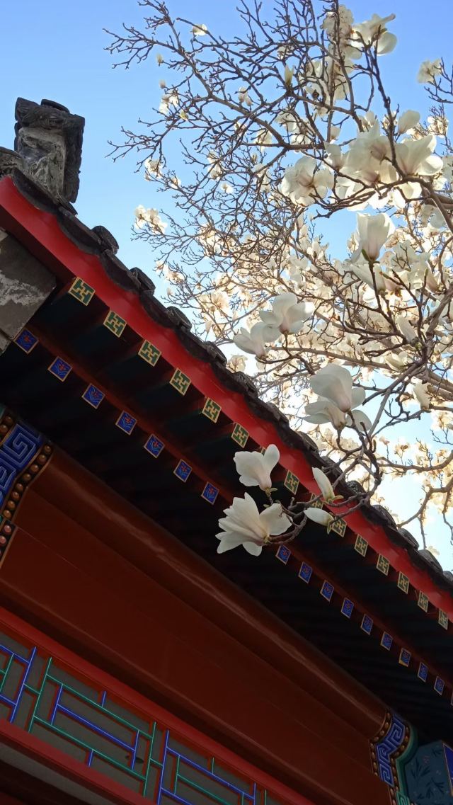 地坛公园旅行图片 1