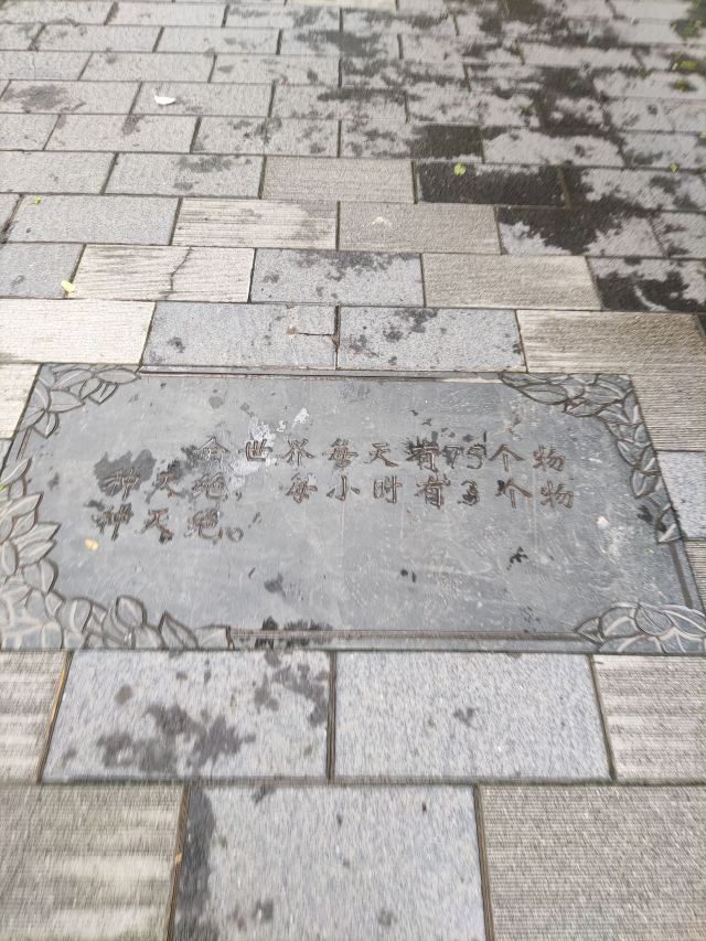 南馆公园旅行图片 10