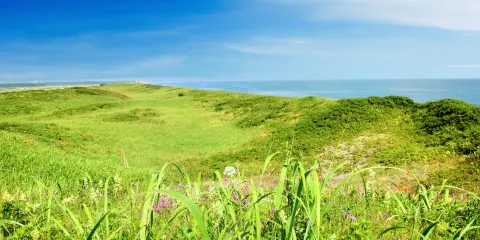 網走國定公園 小清水原生花園