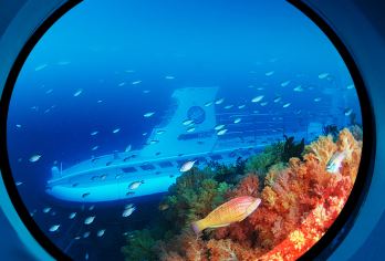 凯蒂猫乐园+绿茶博物馆+涯月海岸路+涯月咖啡厅一日游【包车】【体验当地深度游览，不再千篇一律 时间自由搭配组合，一日半日随心所欲，想怎么游你说了算！！】