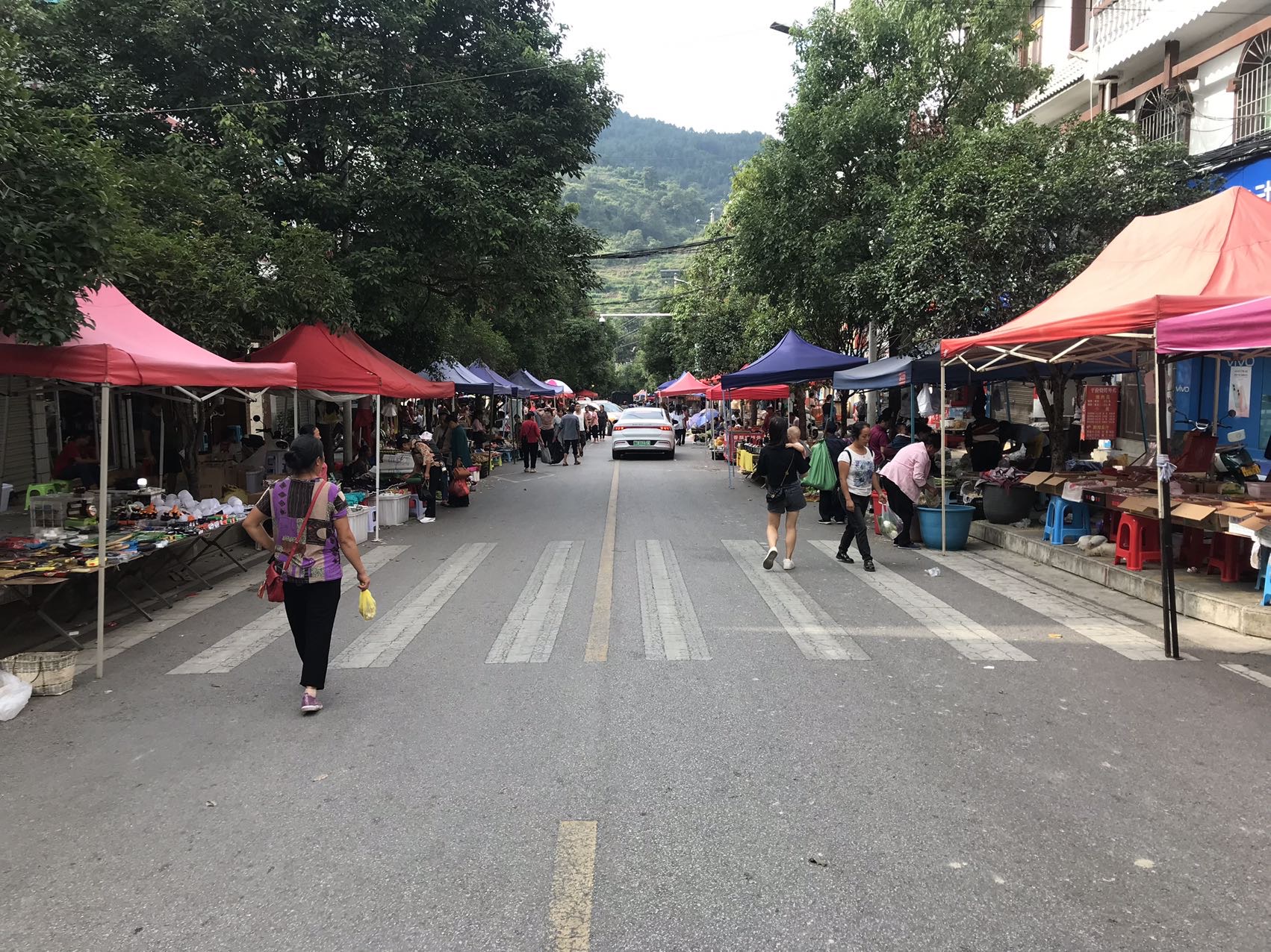 3-Day Kaili Tour: Cultural Insights at Miao-Dong Customs Park, Adventure in Wuli Grand Canyon