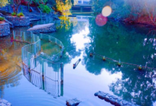 约旦尼特洗礼处景点图片