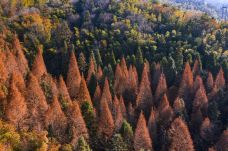 大围山国家森林公园-浏阳