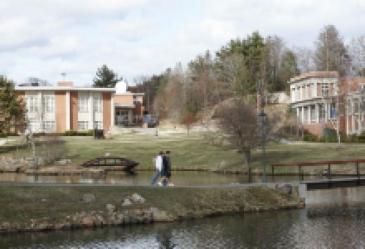 Endicott Agway购物图片