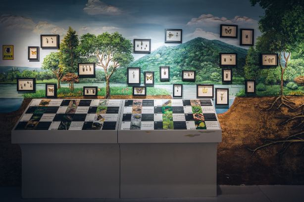 Gallery 1