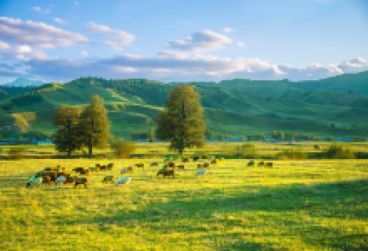 那拉提草原景点图片