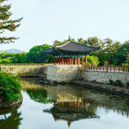 韩国大邱+庆州4日3晚跟团游