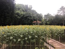 晓港公园-广州-206219436