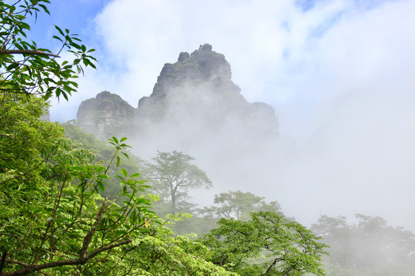 梵净山顶禅音回荡，云舍故里溪水人情