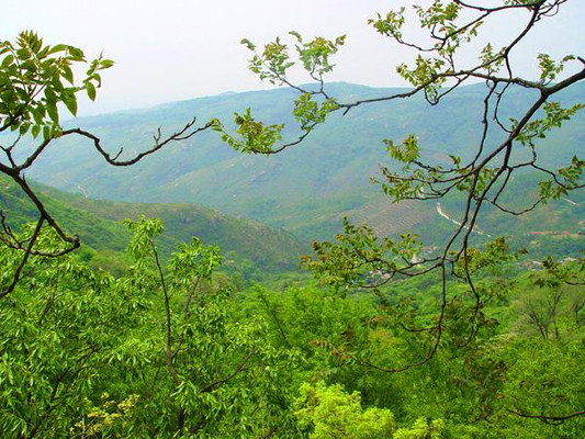 江苏旅游:探秘东海胜境花果山(图)