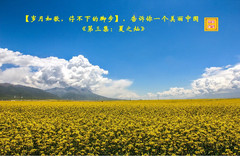 西宁游记图片] 【岁月如歌，停不下的脚步】，告诉你一个美丽中国《第三集：夏之灿》