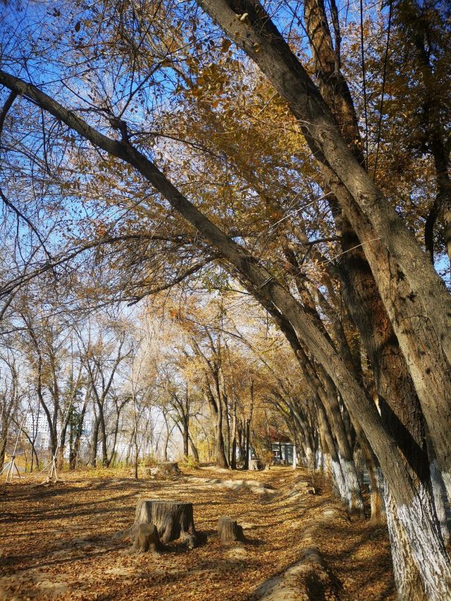 水磨沟风景区旅行图片 10
