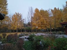 万寿公园-北京-YoYo_1R0F7R7N