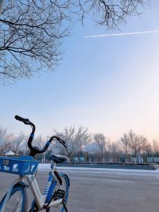 敕勒川公园-呼和浩特-YoYo_9L7F8U9J