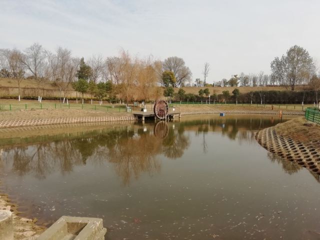 府河郊野公园旅行图片 1