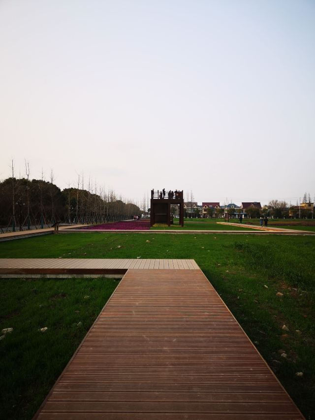 合庆郊野公园旅行图片 5