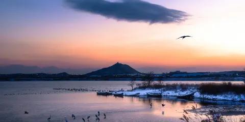 洪鬥坡白鷺樂園