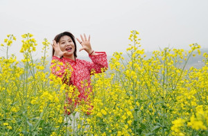 蓝田游记图文-清明休闲游去哪里 蓝田鲍旗寨赏油菜花 焦岱镇赶大集