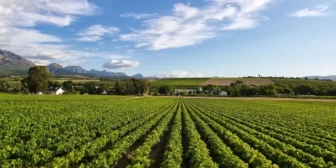 龍池山自行車公園