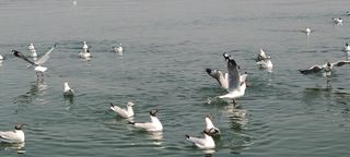 大理&丽江5天4晚深度避坑游，一次突发兴起逃离城市计划，追溯向往的诗意生活