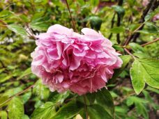 东公馆-临夏市-行走在光影深处